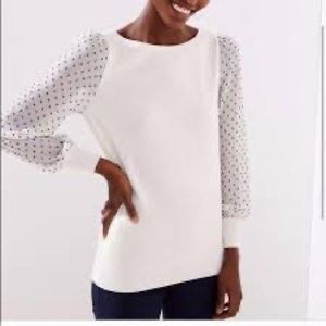 Loft Swiss dot sweater